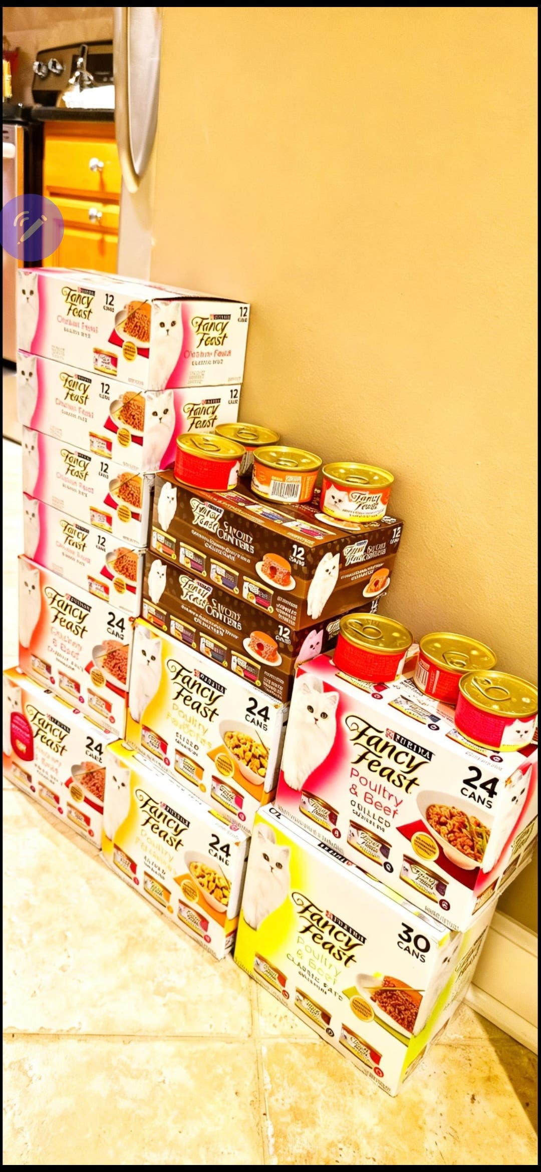 Fancy Feast Canned Cat Food 