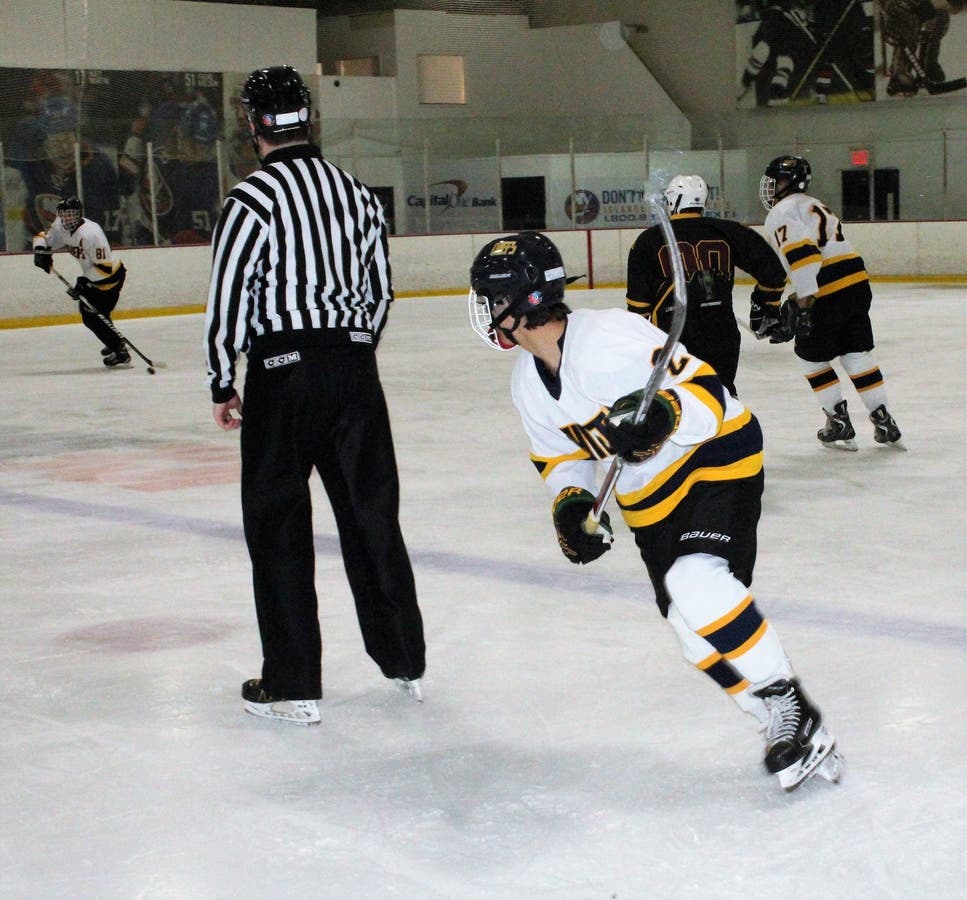 Adult Summer Ice Hockey Leagues Kings Park, NY Patch