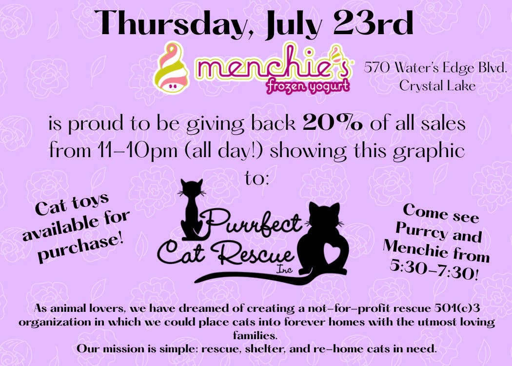 Purrfect Cat Rescue Fundraiser at Menchie’s