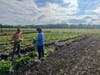 Chris Cubberly, Farm Manager, and Chloe Goodman, Administrative Fellow, pick lettuce at the Advocate Good Shepherd Smart Farm for delivery to Advocate Trinity Hospital’s Food Farmacy on the South Side of Chicago. 