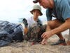 Kore Skillman (left) and Jim Montgomery (right) help to remove weeds from the Esplanade to make room for plants that attract wildlife.