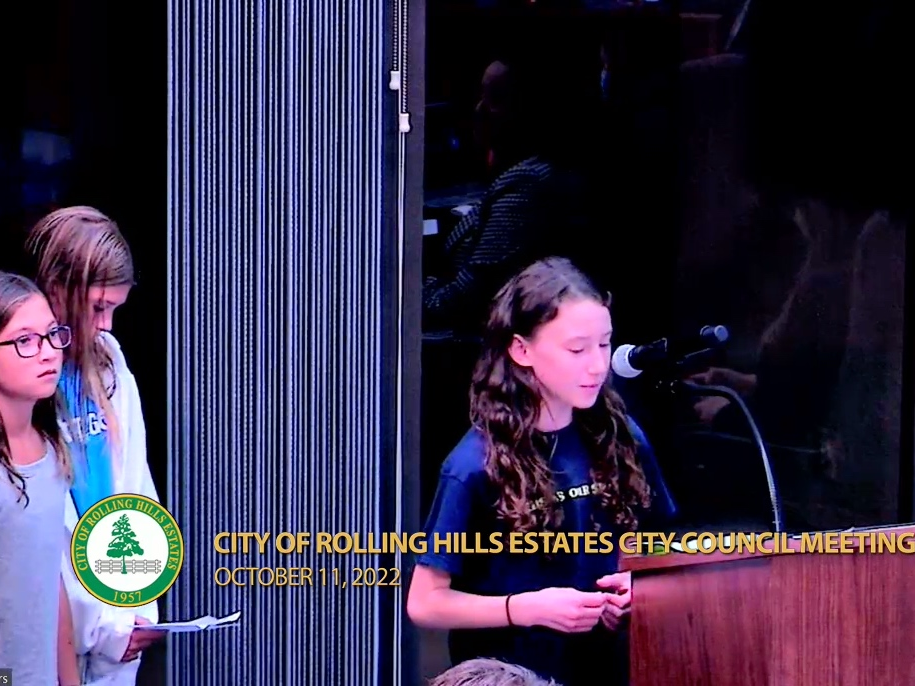 Kids who call the Norris Theater home spoke at Tuesday's City Council meeting to ask for the city's help with fighting a $1 million lawsuit filed by the Promenade mall owners.