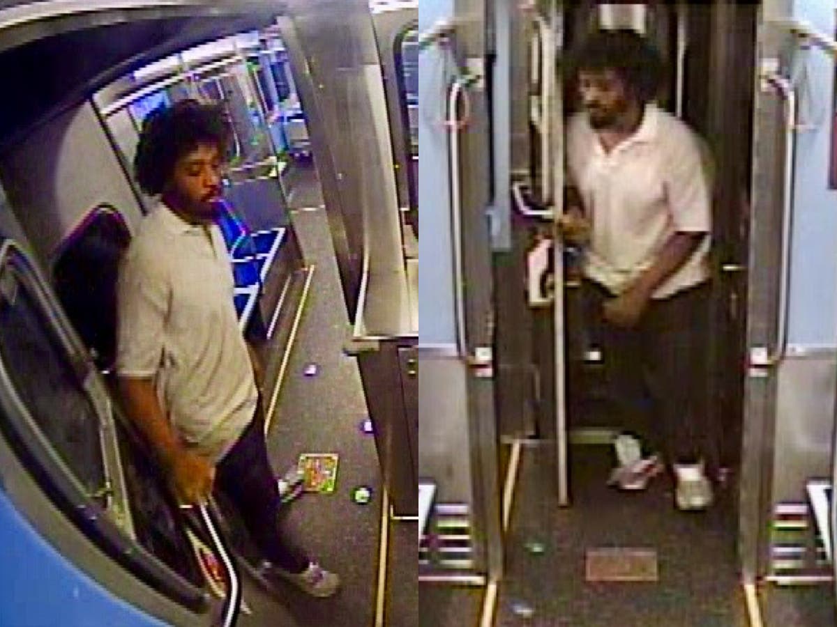 Woman Fights Off Attempted Assaulter On CTA Train In Evanston ...