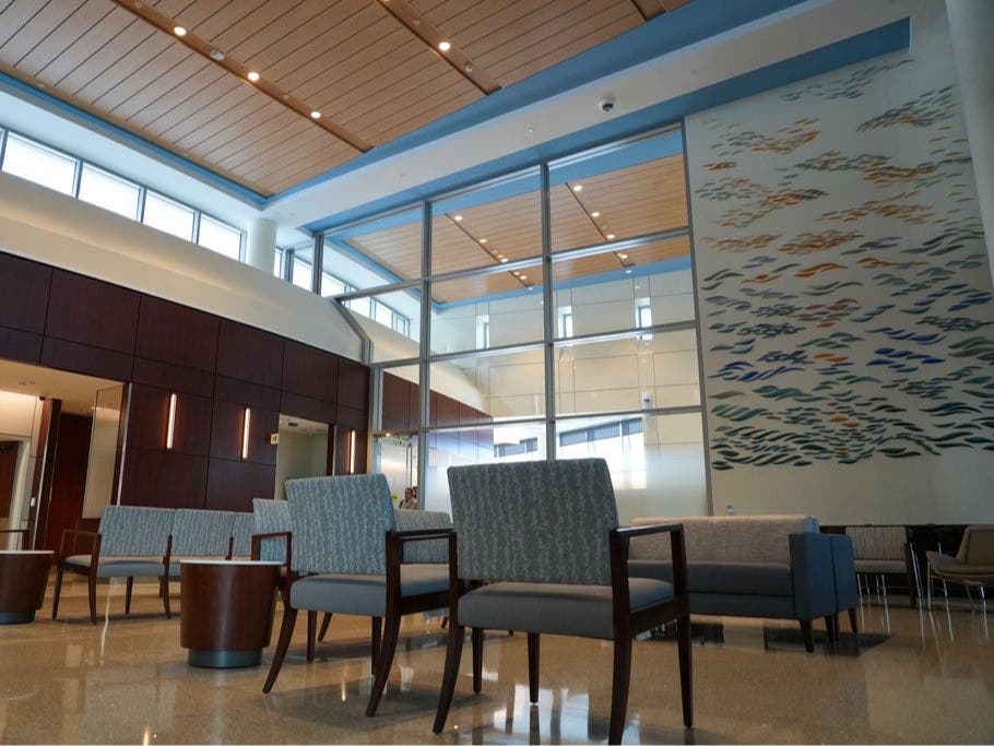 The expansion adds approximately 290,000 square feet of new space, including two modern pavilions that significantly increase inpatient and observation capacity. 