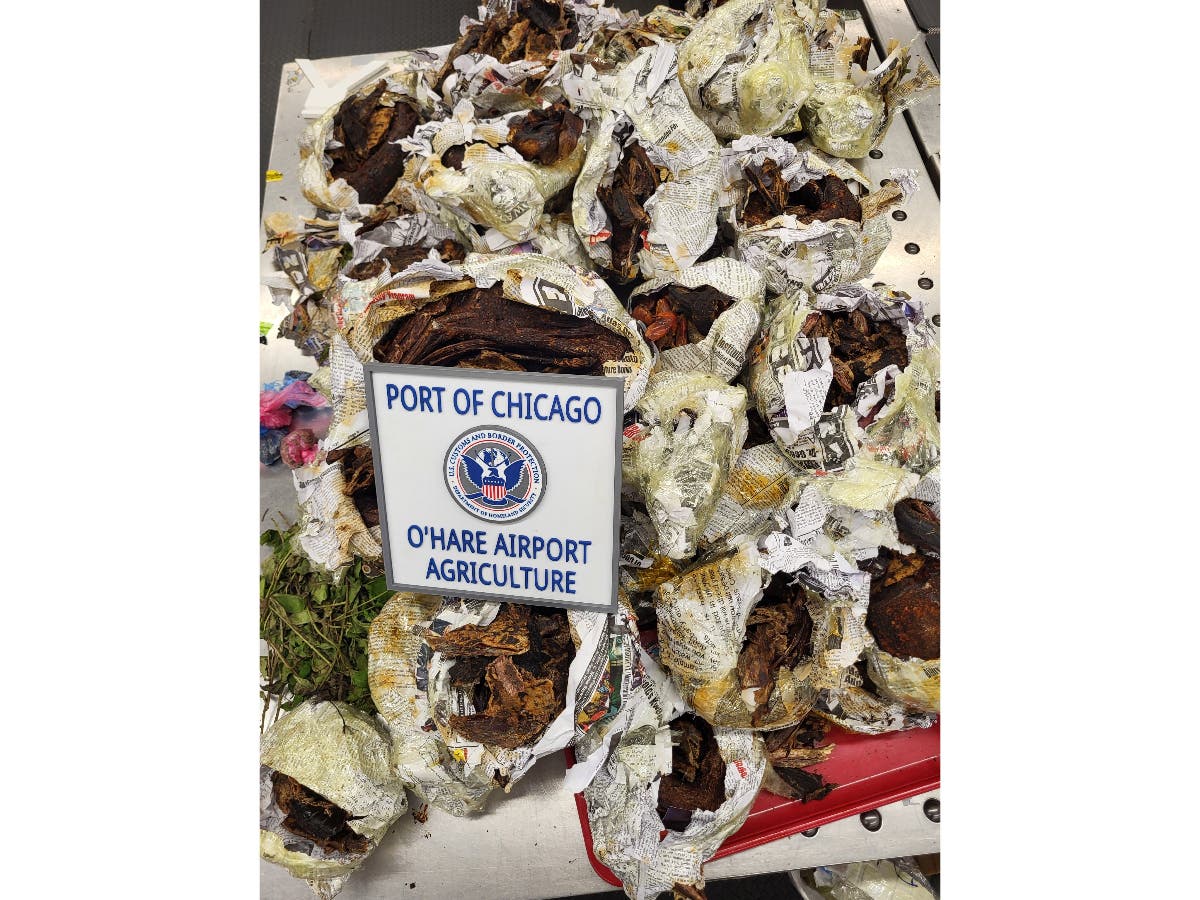 Monkey Carcass, 125 Pounds Of Illegal Meat Seized At Chicago O'Hare Airport