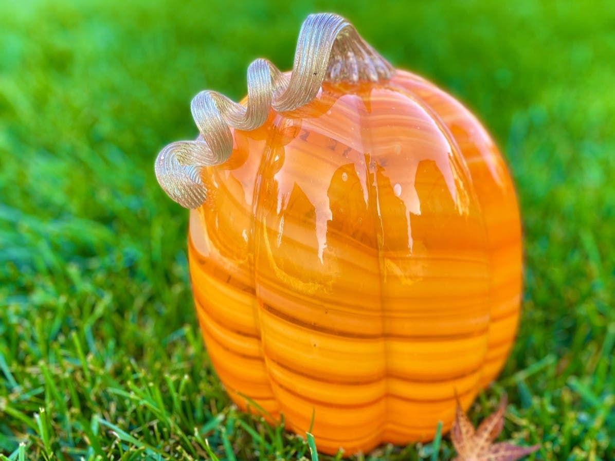 $23K Stolen Stash Of Styling Tools | Local Shop Disrupts Tradition | Fragile Pumpkin Patch: IL Business News