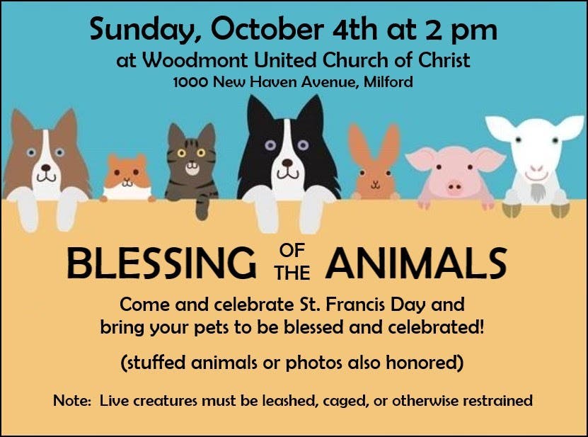 Blessing Of The Animals