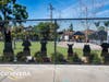 Alebrije Dog Park 