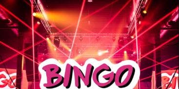 Bingo Loco: The Ultimate Bingo Party