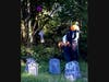 Children's "spooky trail" at Celebrate Fall.
