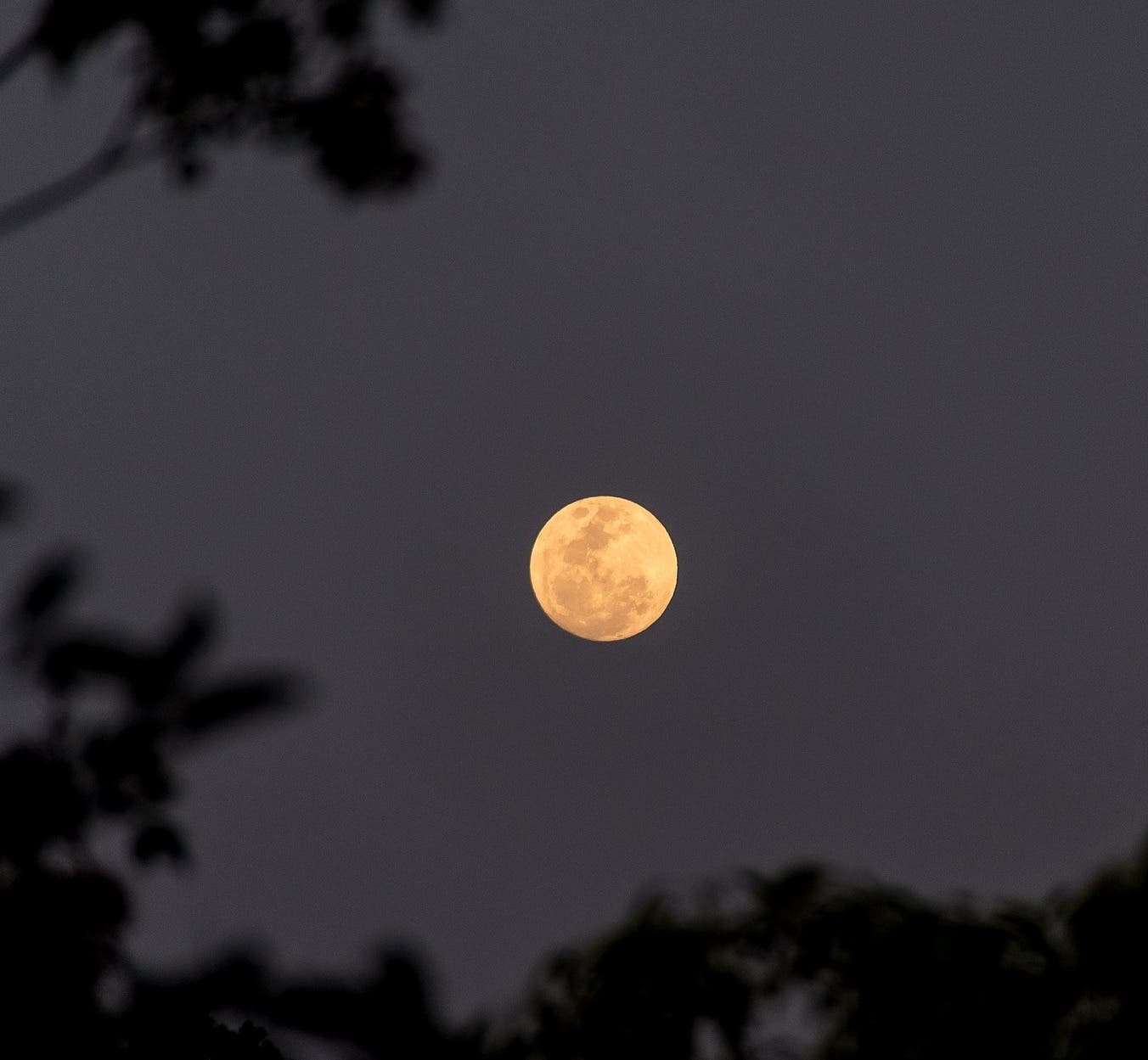 NJEA Mini-Camp: Marvelous Moon at Reeves-Reed