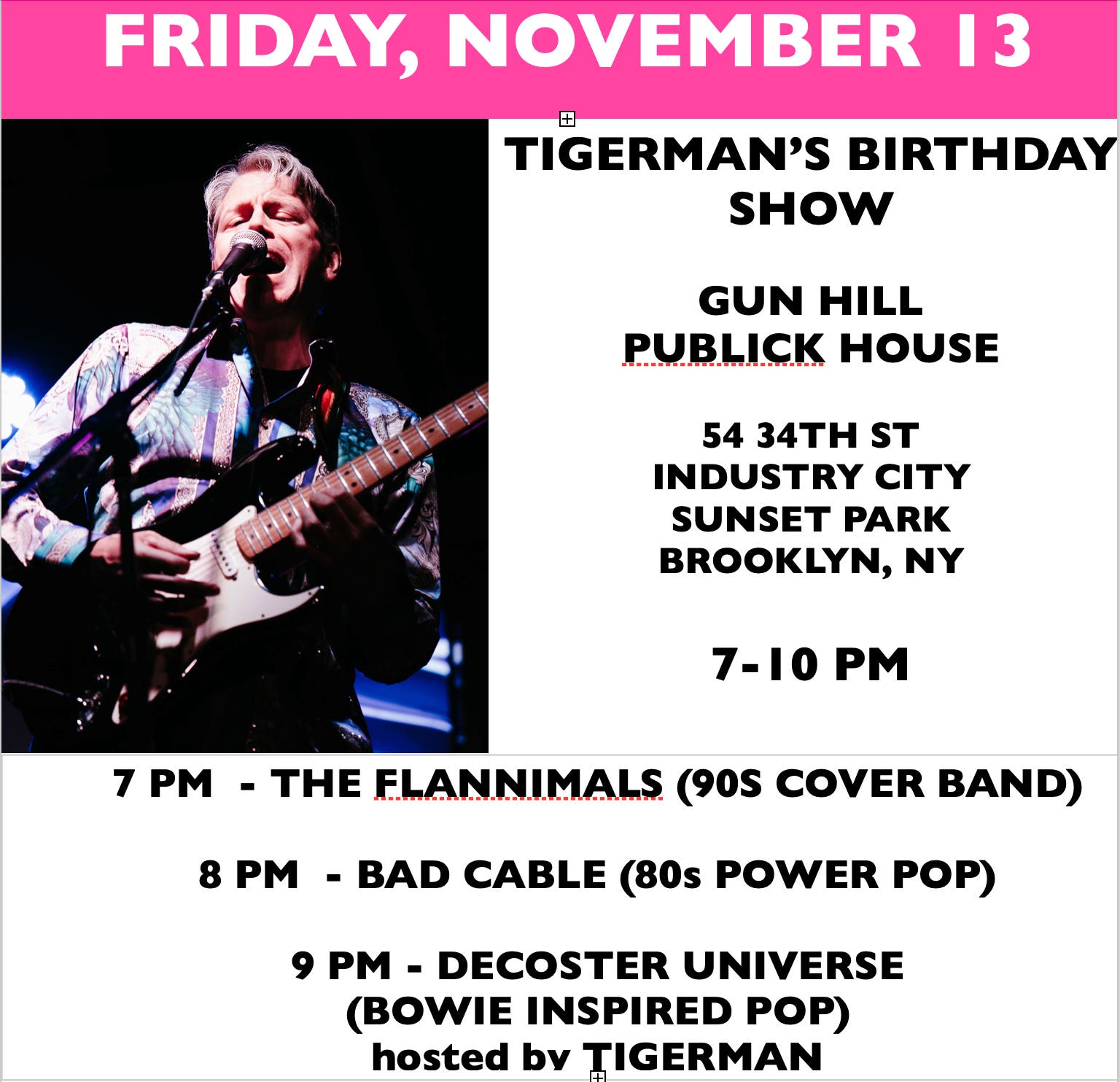 Tigerman Birthday Show with The Flannimals, Bad Cable, Decoster Universer