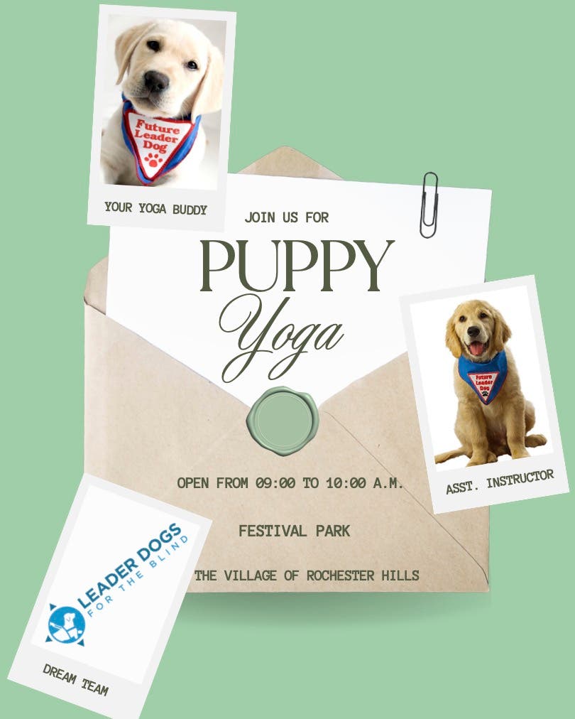 Puppy Yoga With Leaderdogs For The Blind