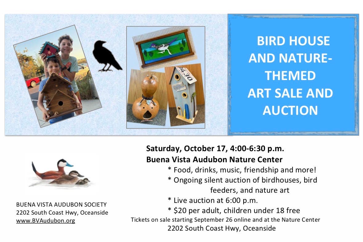 Birdhouse and Art Auction