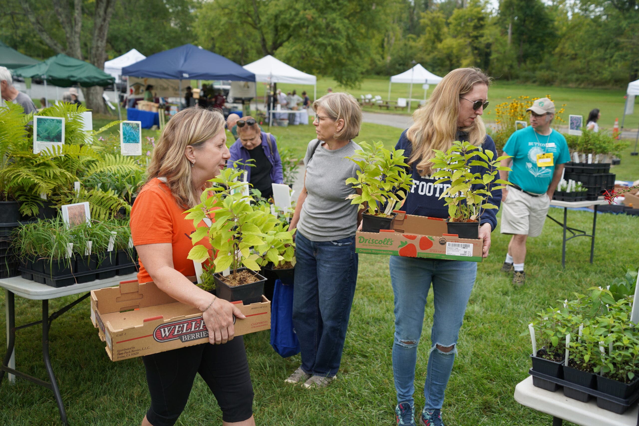 Native Plant Sale