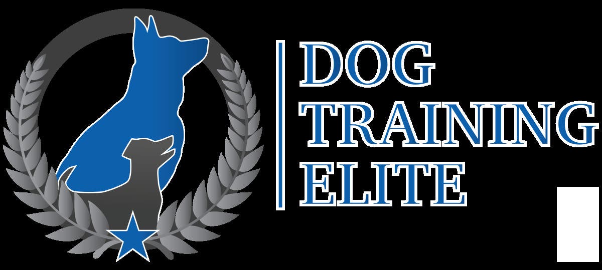 Dog Training Elite Denver