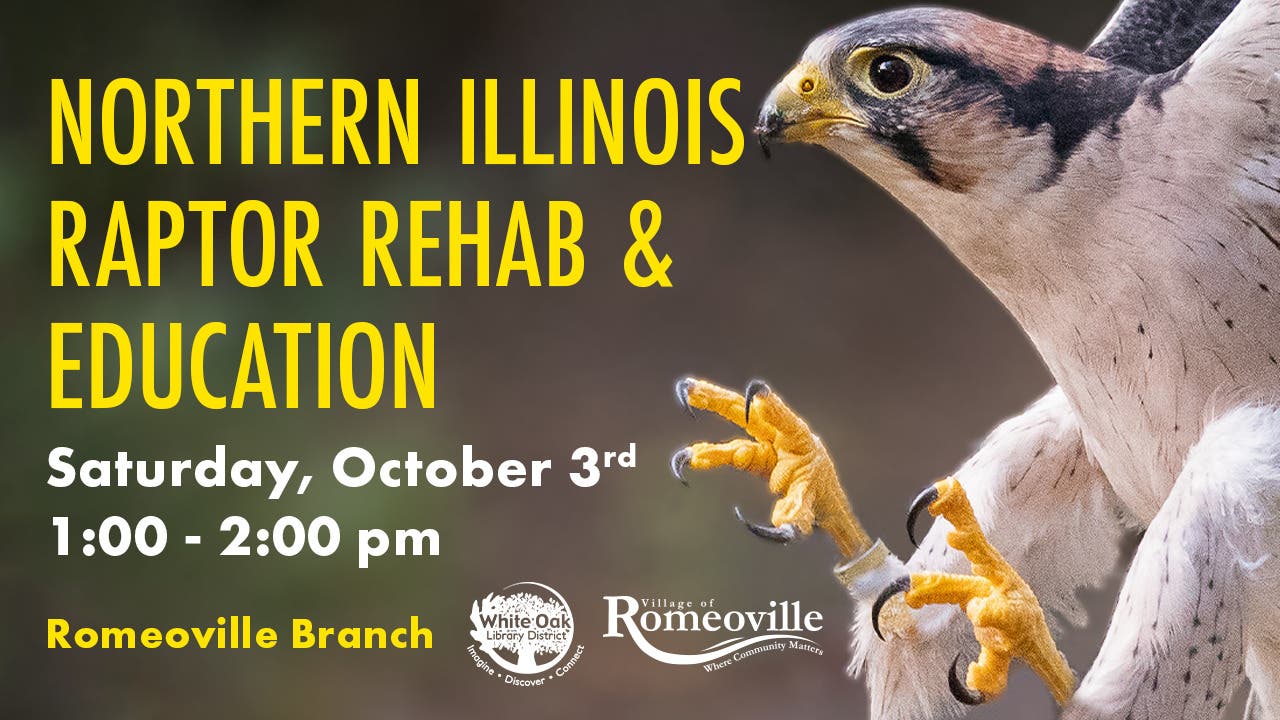 Northern Illinois Raptor Rehab and Education