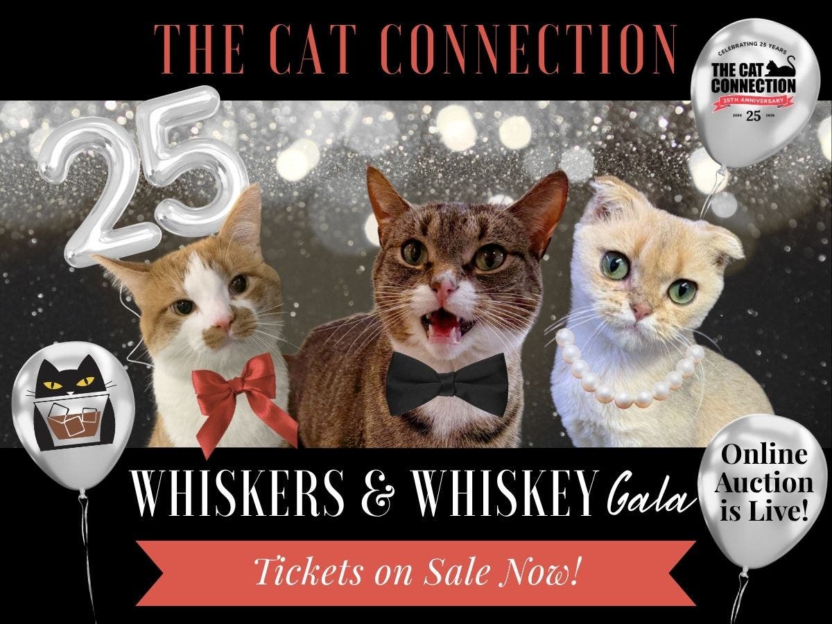 The Cat Connection's Whiskers & Whiskey Gala and Online Auction