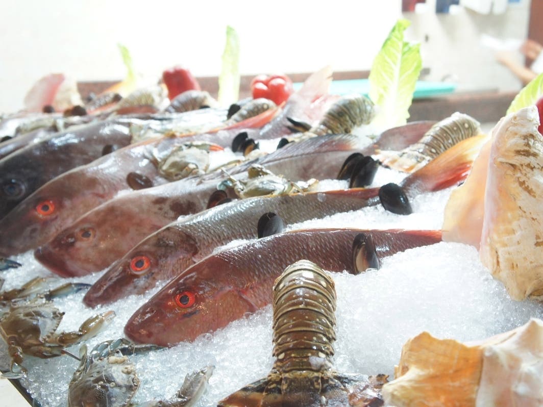 Fishmonger, offering fresh seafood, is an Esquire 2022 Best New Restaurant in America.