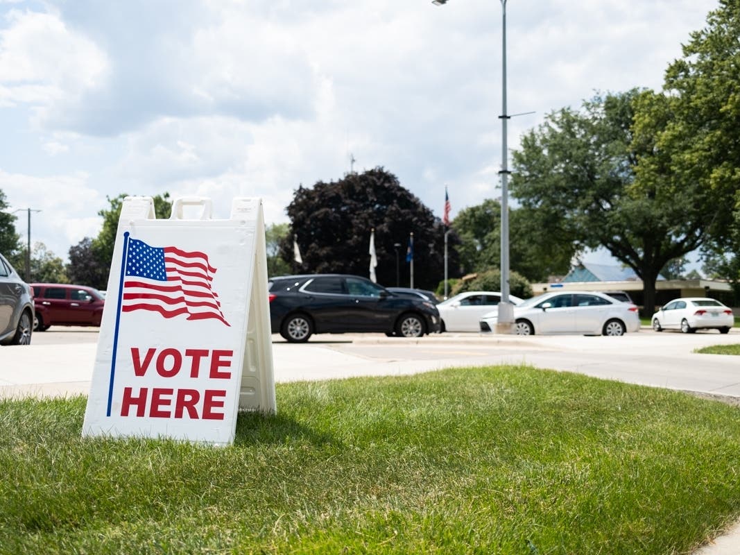 Voters in Fannin, Gilmer and a portion of Dawson counties will vote Jan. 31 for the replacement of the late David Ralston in the Georgia House of Representatives.