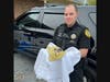 Duluth Officer Jacob Baalson cradles newborn kittens on April 5. The kittens were found on April 4 at the intersection of Pleasant Hill Road and Steve Reynolds Boulevard after police say someone tossed them out of the window of a moving car.