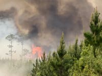 31 New Wildfires Erupt, Nearly 100 Homes Lost In GA