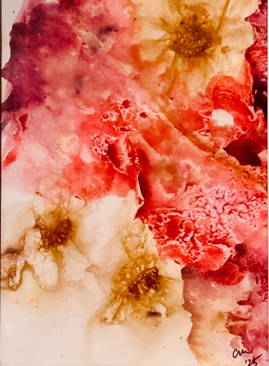 Hollis Arts Society 2025 Spring Art Show & Sale