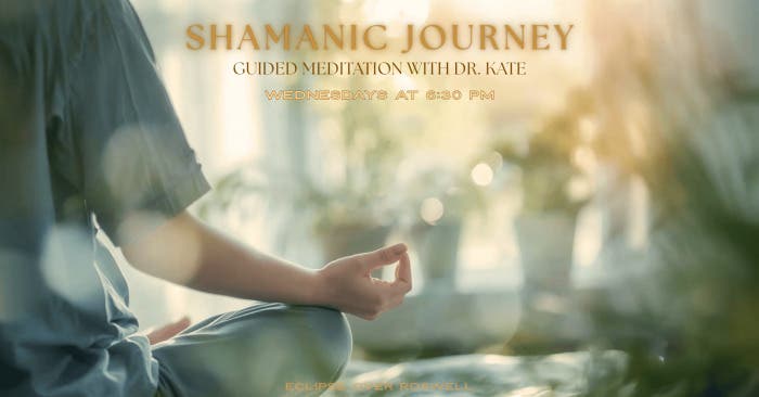 Shamanic Journey Guided Meditation with Dr. Kate - Going Within