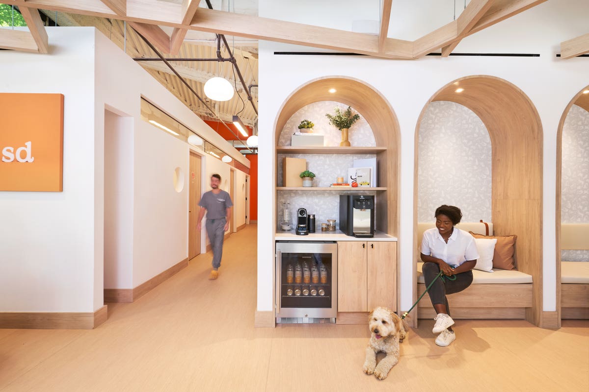 Small Door Veterinary – Newton Centre
