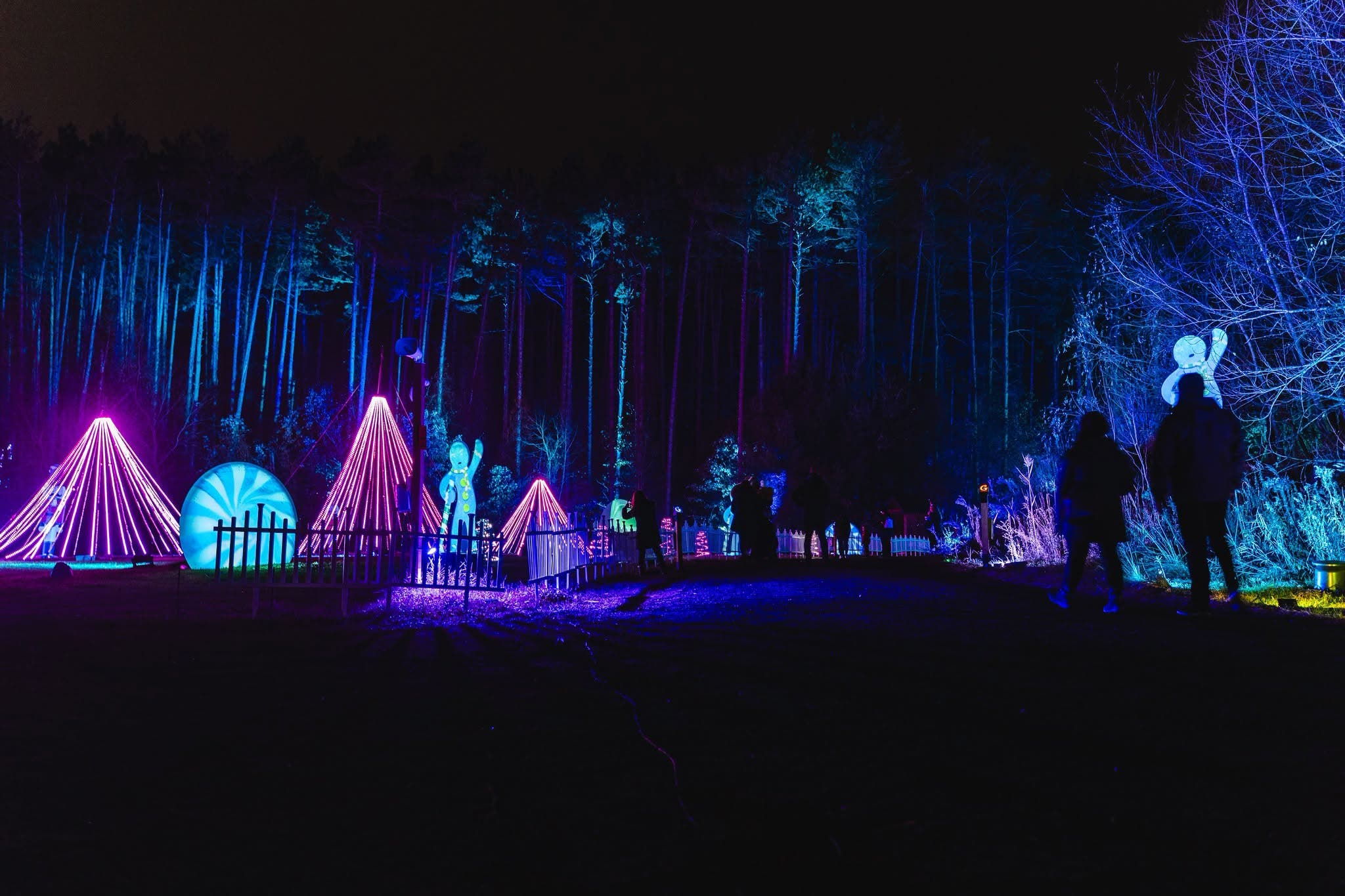 Aurora: Winter Wizards Face Painting & Balloon Twisting
