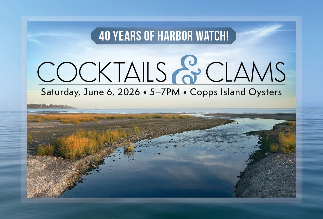 Cocktails & Clams