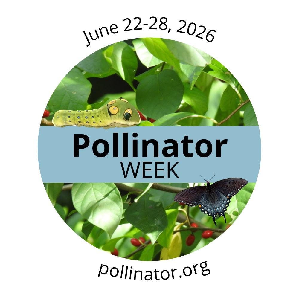 Green Team Supports Pollinator Week