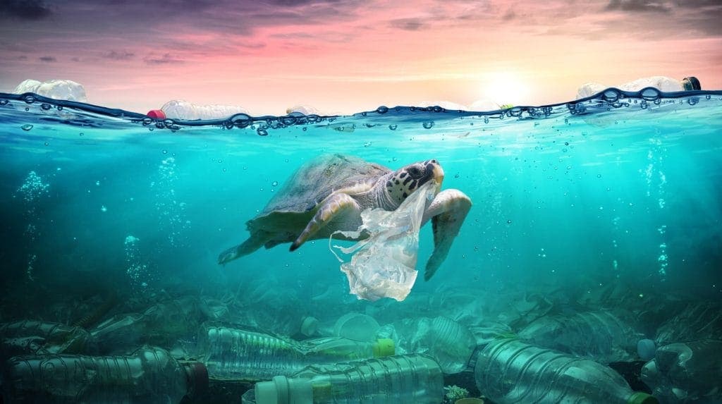 Washington Township Green Team Encourages Participation in Plastic Free July