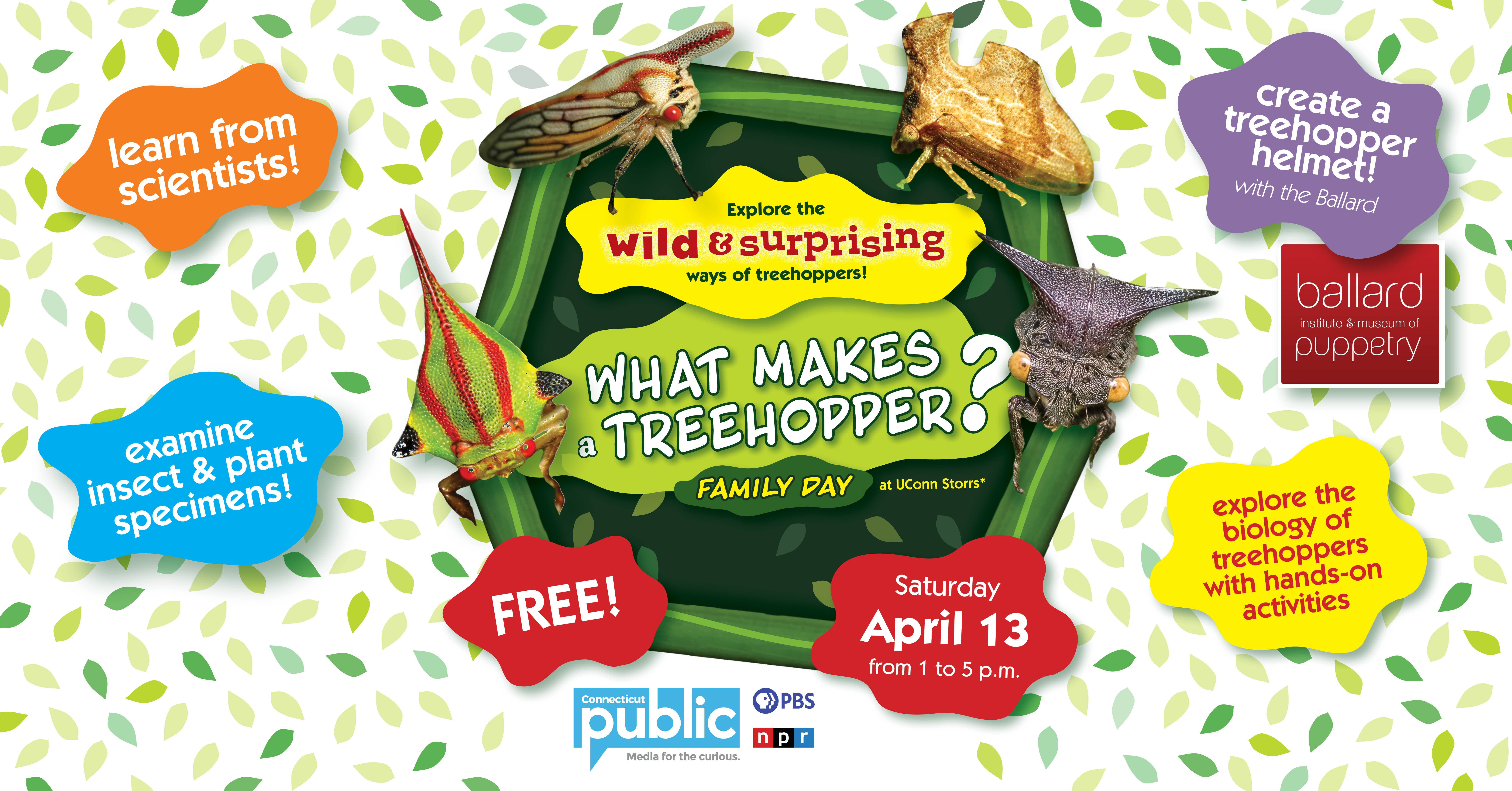 Tree Happer Apr 13 | What Makes a Treehopper? Family Day | Mansfield, CT Patch