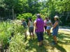 Jean Laughman leading a Bug Week bug walk in Haddam in 2022.