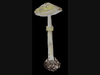 Ethel Warkov’s painting of a False Deathcap mushroom (Amanita citrina), on display now as part of the CSMNH exhibit “Mischief Makers: The Evolution of Mushroom Illustration.”