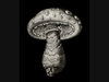 An illustration of a mushroom from the 1793 book “Nova Plantarum Genera” by P. A. Micheli, on display as part of the CSMNH exhibit “Mischief Makers: The Evolution of Mushroom Illustration.”