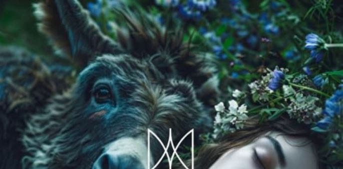 Ajkun Ballet Presents: A Midsummer Night’s Dream – Where Love Gets Hilariously Lost