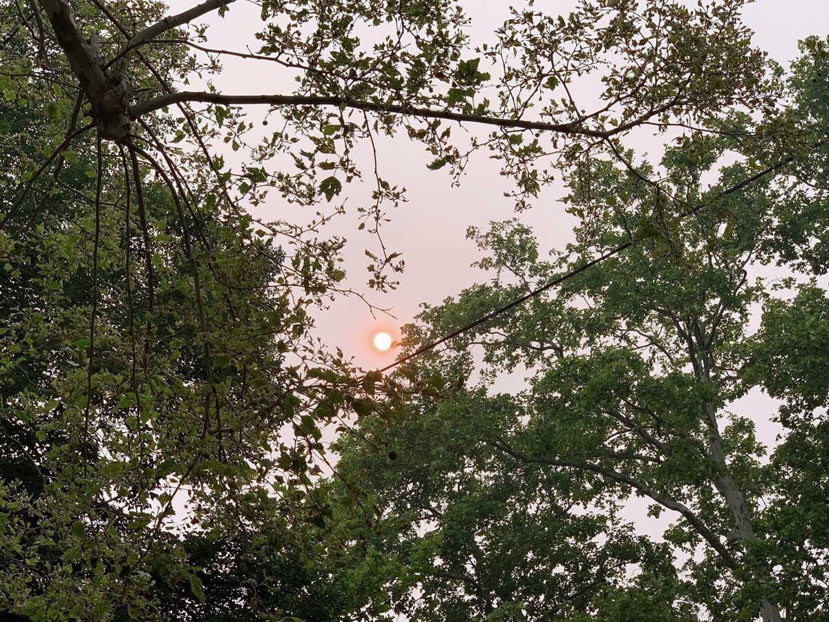 Back in June​, smoke from Canadian wildfires caused air pollution warnings in most of the state as noticeable haze and scents of a campfire lingered for several days.