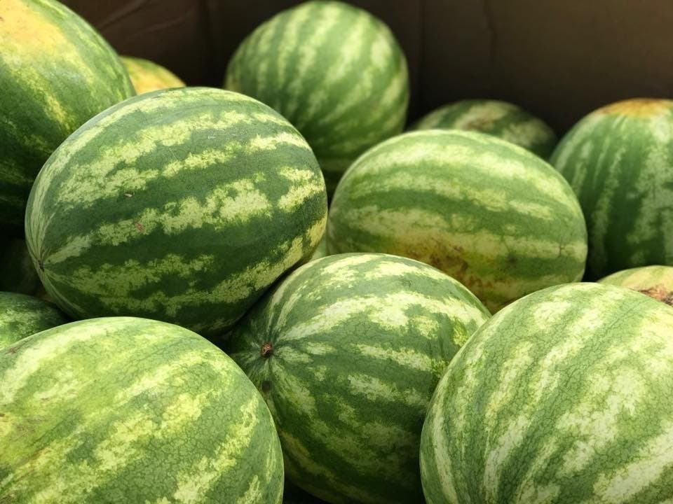 No arrests have been made and police don't yet know what led up to the assault, police said, according to WPRI​. 
