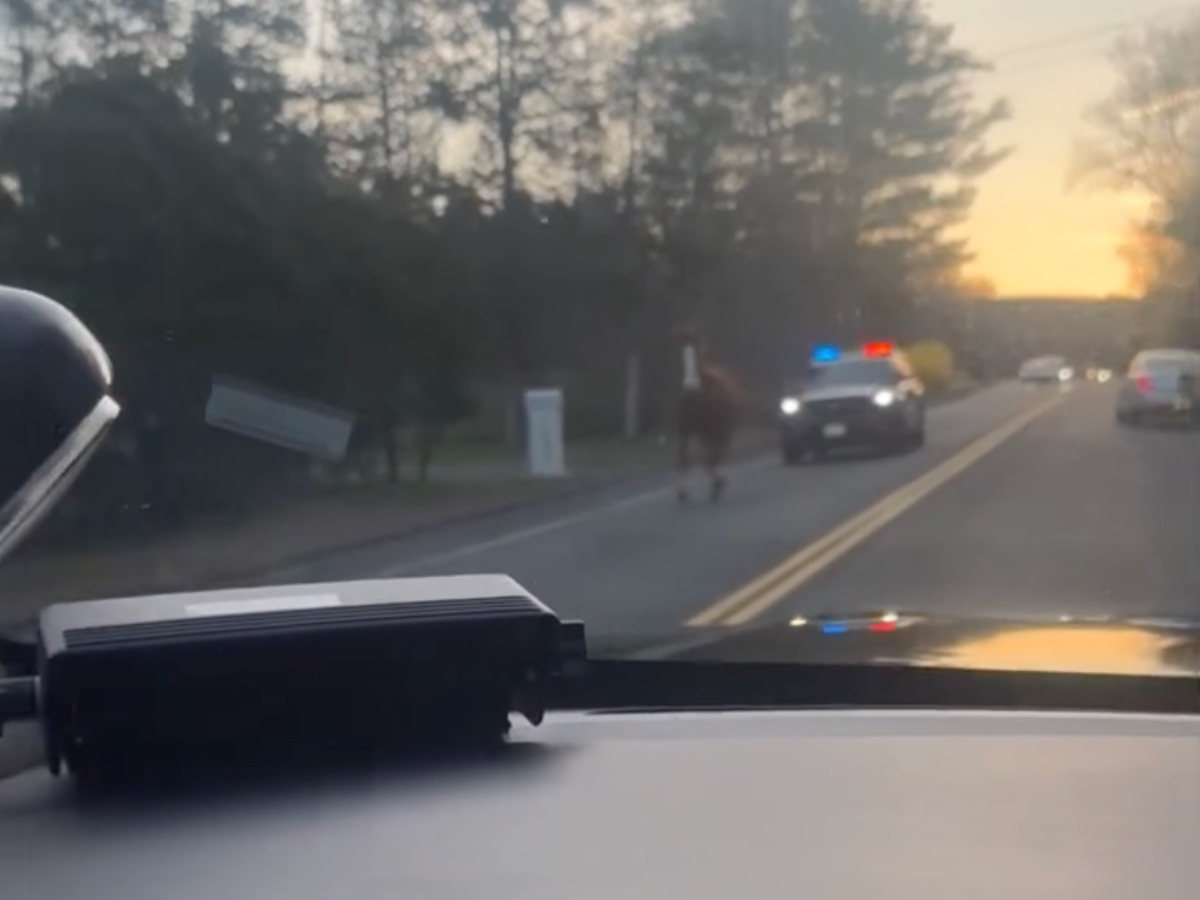 Officers held an informal caption contest underneath the video, with the comment "Was he held on 'bale'?" receiving the most likes as of Friday afternoon. 