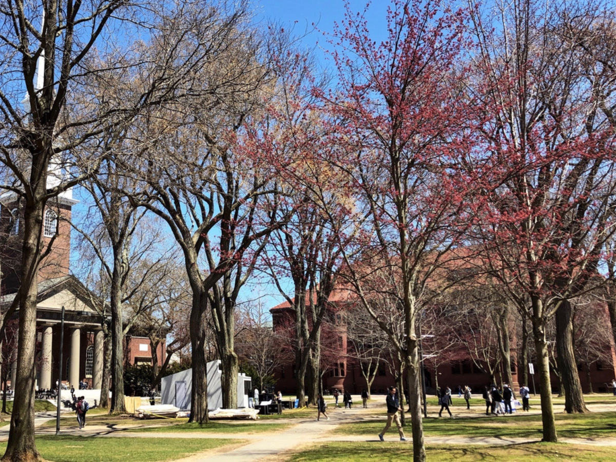 Harvard University has an acceptance rate of around three percent, while Columbia's is around four percent and Yale's is around five percent, according to U.S. News and World Report.