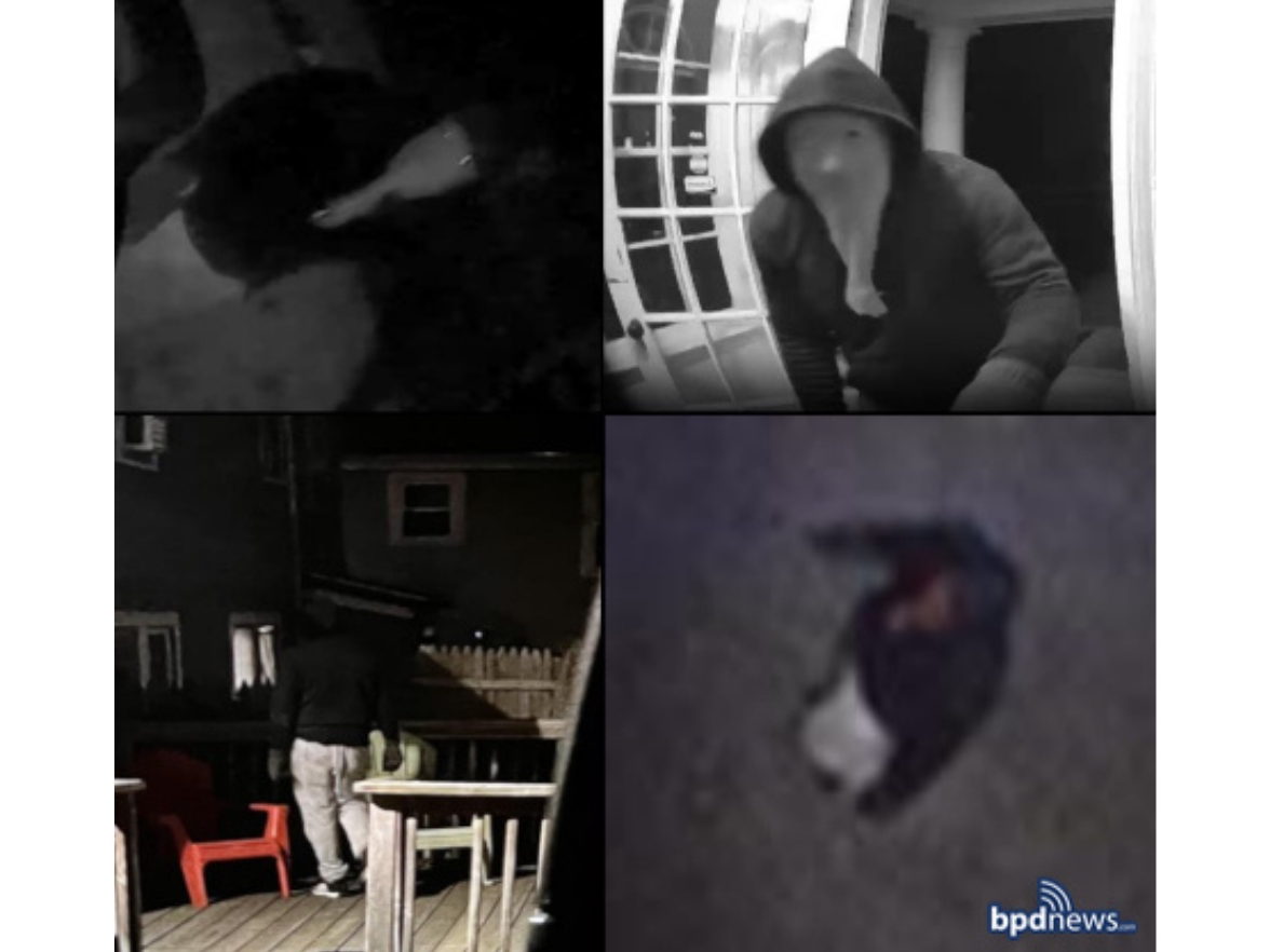 Boston police are asking anyone with relevant information to call District D-14 Detectives at (617) 343-4256.
