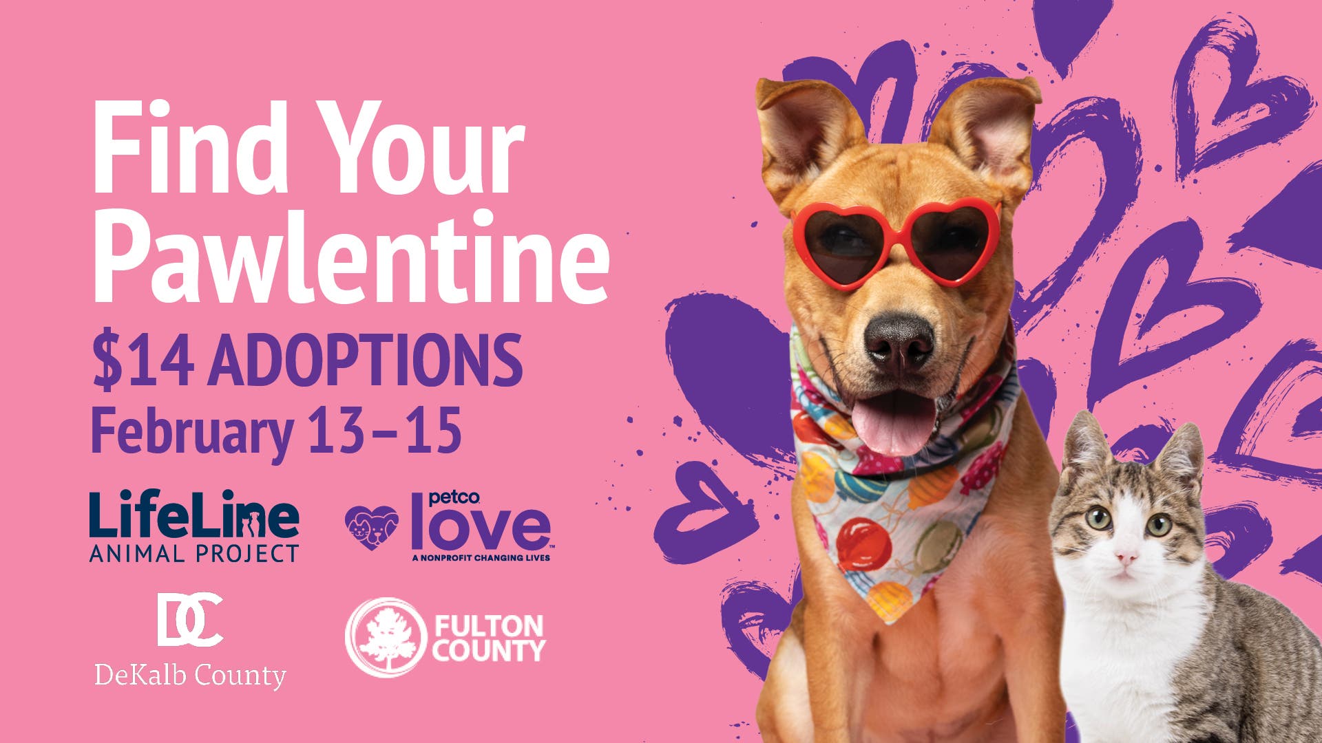 Find Your Pawlentine - $14 Adoptions