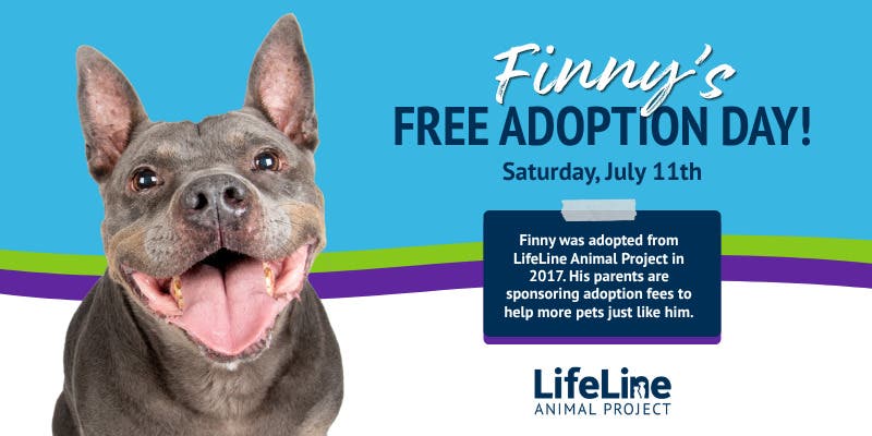 Finny's Free Adoption Event