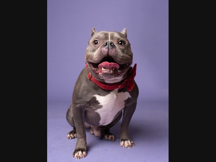 https://patch.com/img/cdn20/users/26244942/20260924/044703/styles/patch_image/public/duece___24164644336.jpg