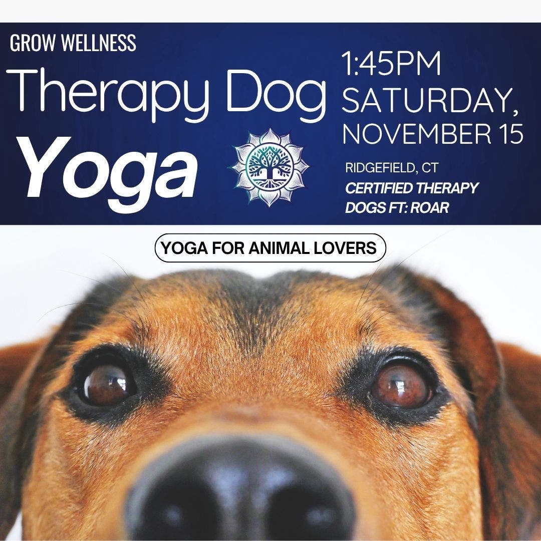 Therapy Dog Yoga