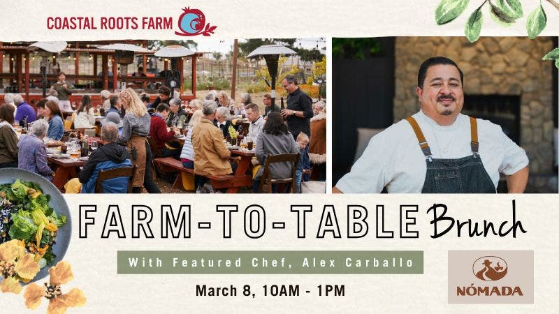 Farm-to-Table Brunch