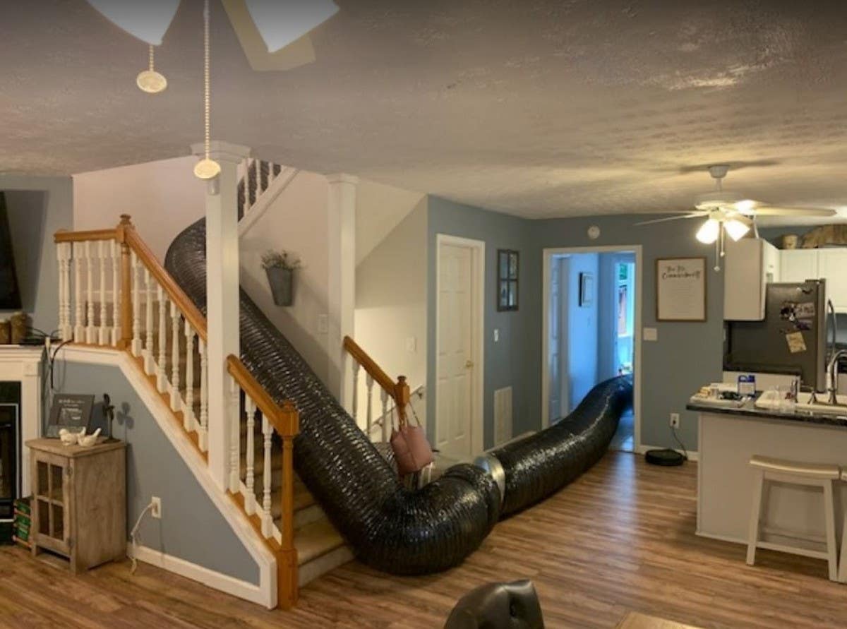 Florida Bedbug Solutions - Tampa