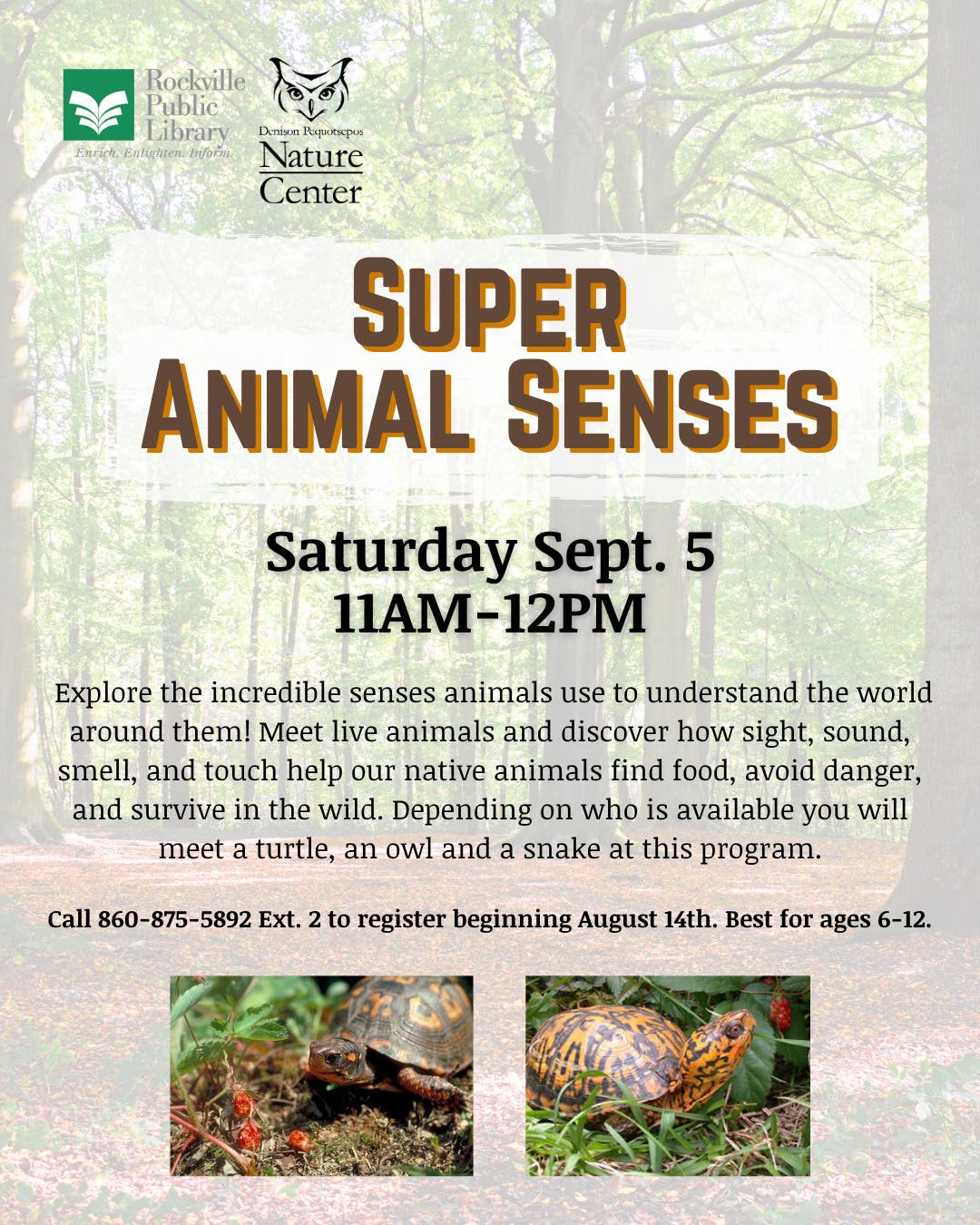 Super Animal Senses
